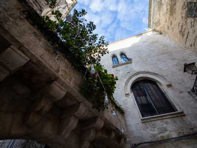 Da qui notiamo come i due edifici dirimpettai abbiano la classica architettura delle case palaziate cinquecentesche diffuse nella citt� vecchia e sorte su costruzioni medievali precedenti